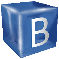 Brenelz Web Solutions